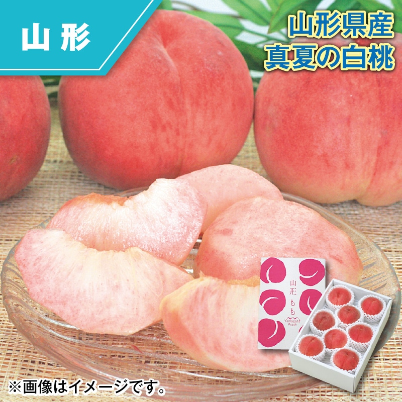 山形県産 真夏の白桃 送料込み