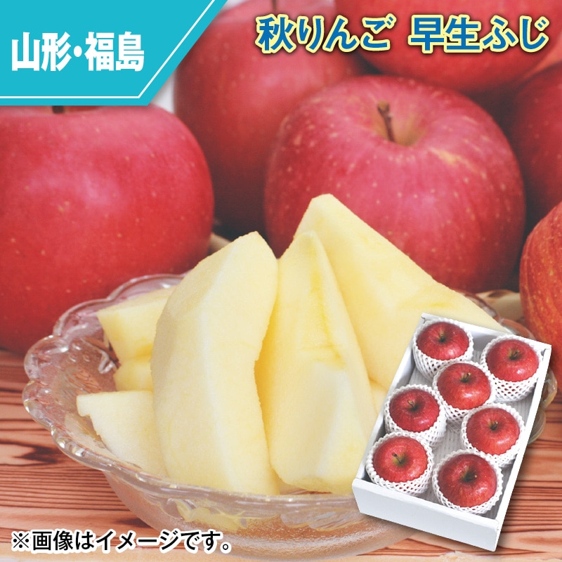 秋りんご 早生ふじ 送料込み