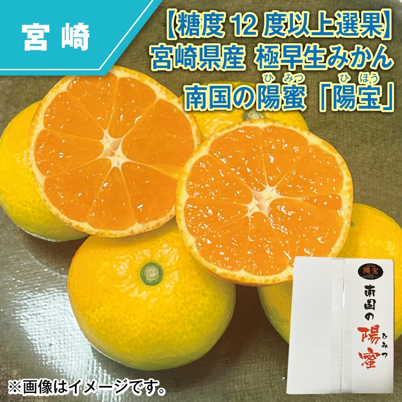 【糖度12度以上選果】宮崎県産 極早生みかん 南国の陽蜜「陽宝」 送料込み