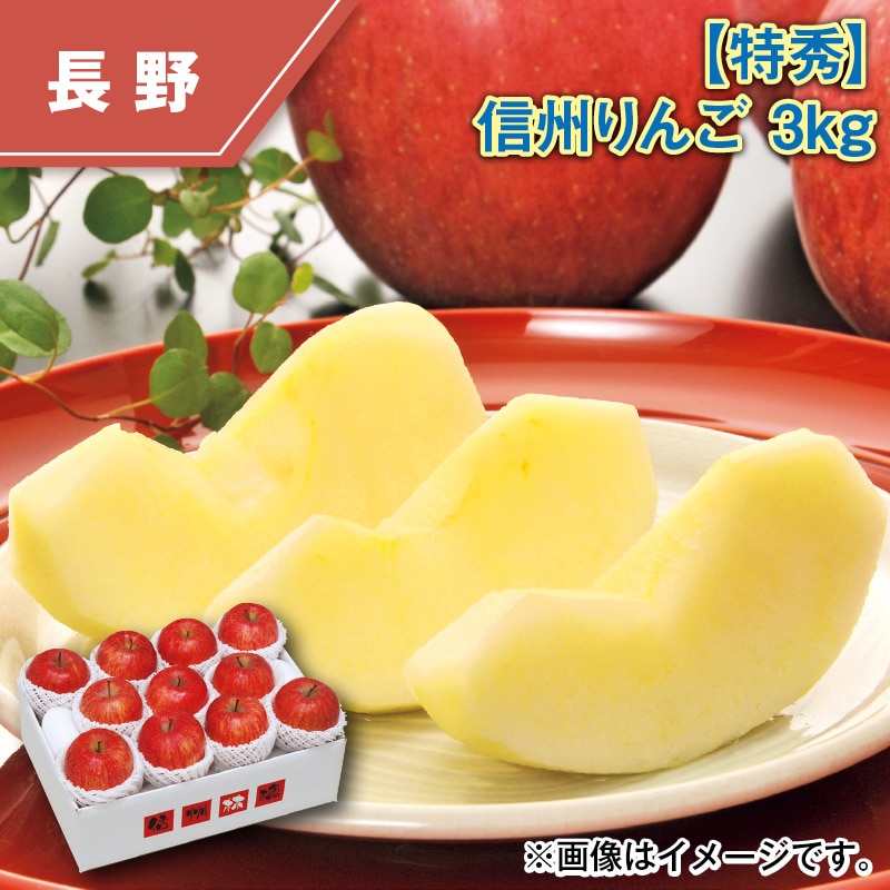 【特秀】信州りんご 3ｋｇ 送料込み