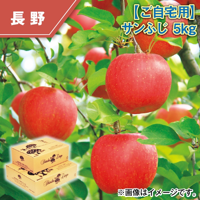 【ご自宅用】サンふじ 5ｋｇ 送料込み