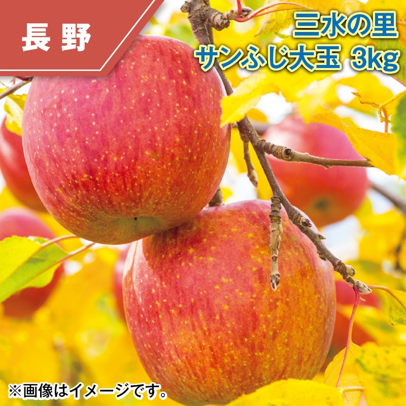 三水の里サンふじ大玉 3ｋｇ 送料込み
