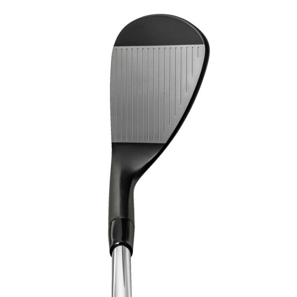 ミズノ Pro T-1 ウエッジ(ブラックIP仕上げ)Dynamic Gold HT スチールシャフト 2025年モデル Mizuno プロ ティー1 日本仕様 日本正規品 ゴルフクラブ メンズ 右利き用 50-08(S) DG_HT(S200)