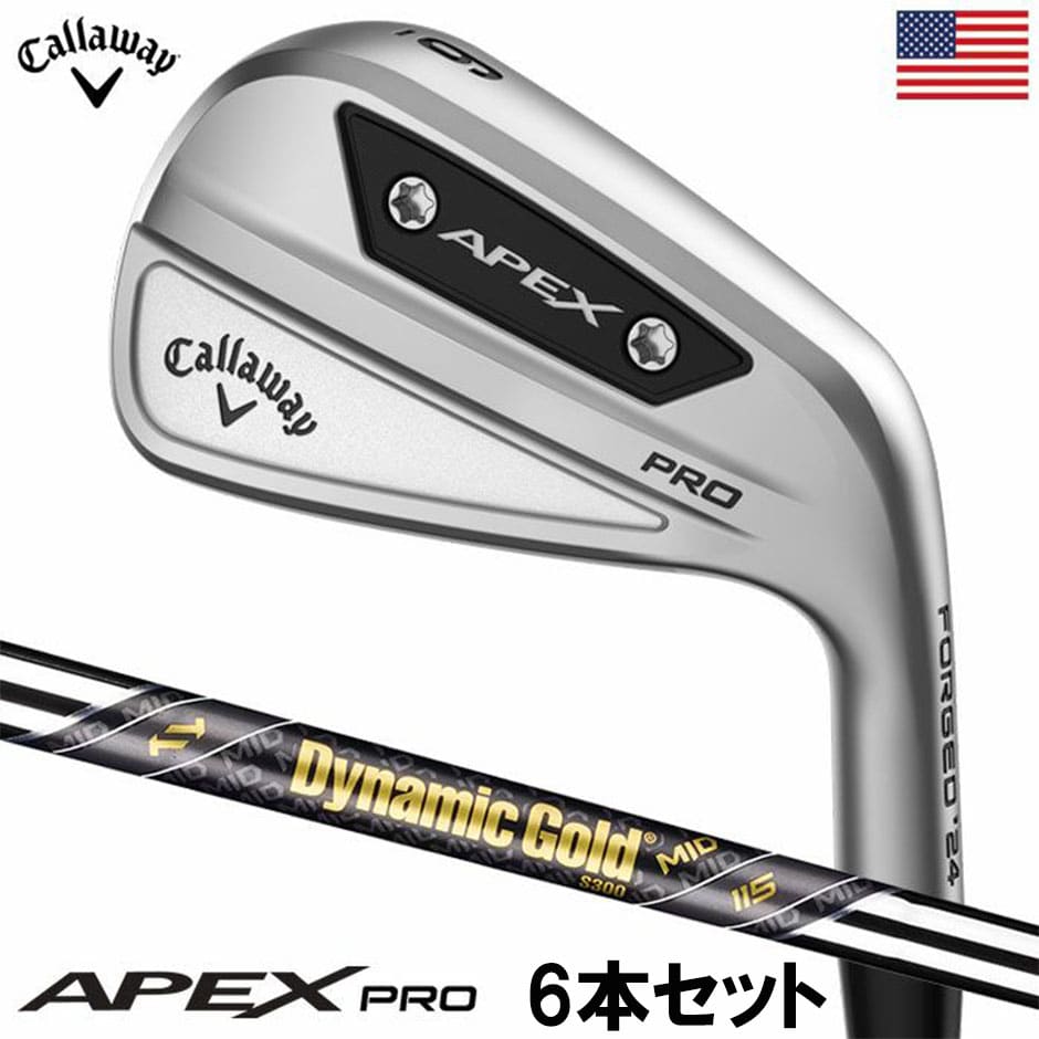 キャロウェイ ゴルフ APEX PROアイアン 6本セット(5-9,PW) メンズ 右用 Dynamic Gold MID115 スチールシャフト 2023年モデル USA直輸入品 golf
