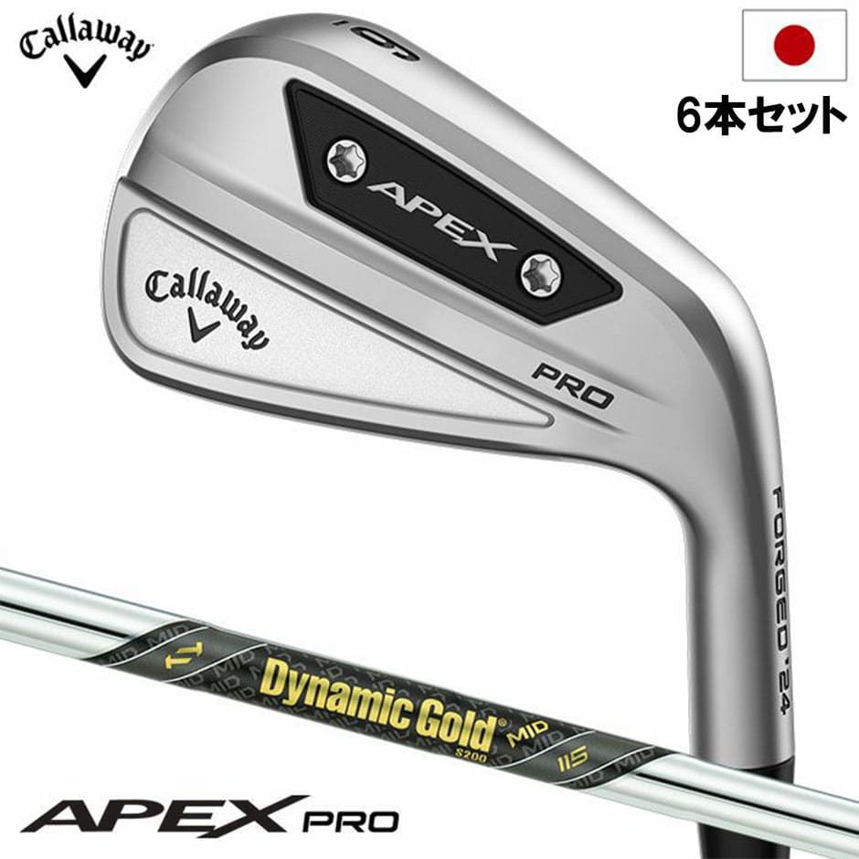 キャロウェイ ゴルフ APEX PROアイアン 6本セット(5-9,PW) メンズ 右用 Dynamic Gold MID115 スチールシャフト 2023年モデル 日本正規品 golf