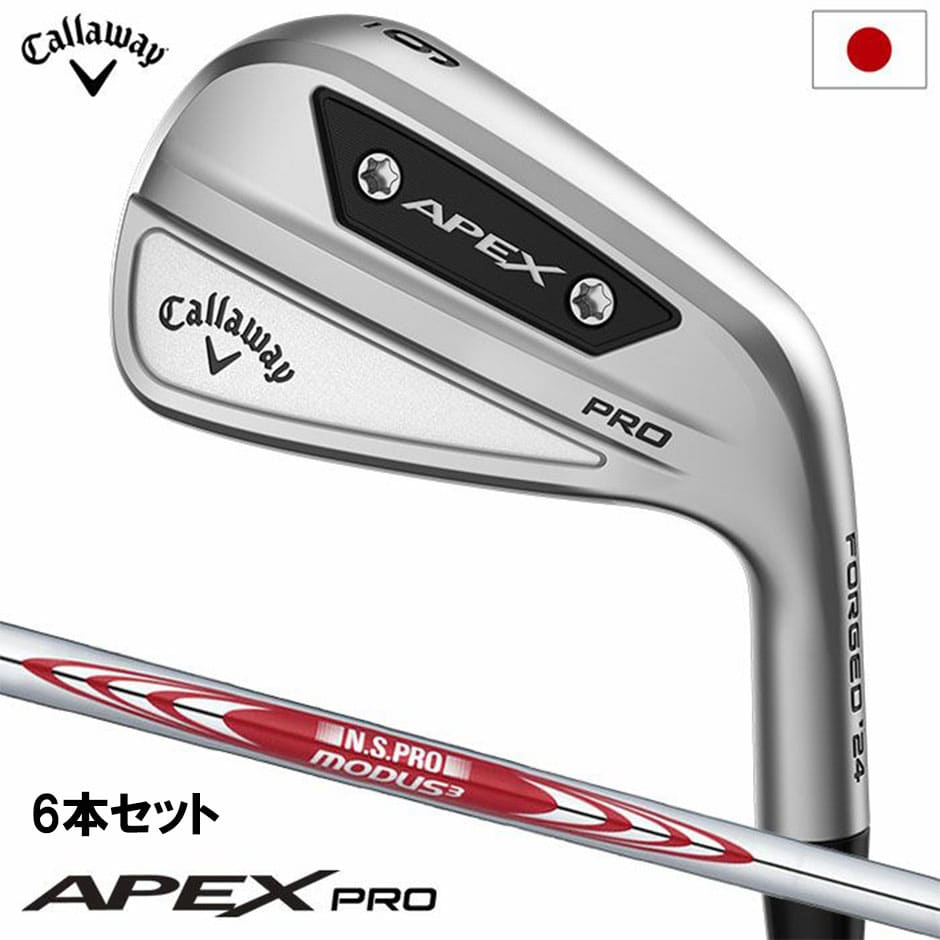 キャロウェイ ゴルフ APEX PROアイアン 6本セット(5-9,PW) メンズ 右用 N.S.PRO MODUS3 TOUR 105 スチールシャフト 2023年モデル 日本正規品 golf