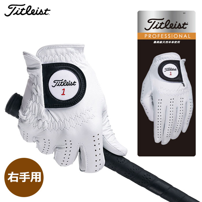 タイトリスト ゴルフ プロフェッショナル グローブ 天然羊革 メンズ 右手用 TG73 ホワイト Titleist 2023年モデル 日本正規品 golf