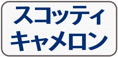 スコッティキャメロン