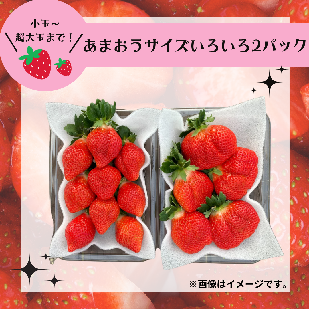 あまおうサイズいろいろ2パック