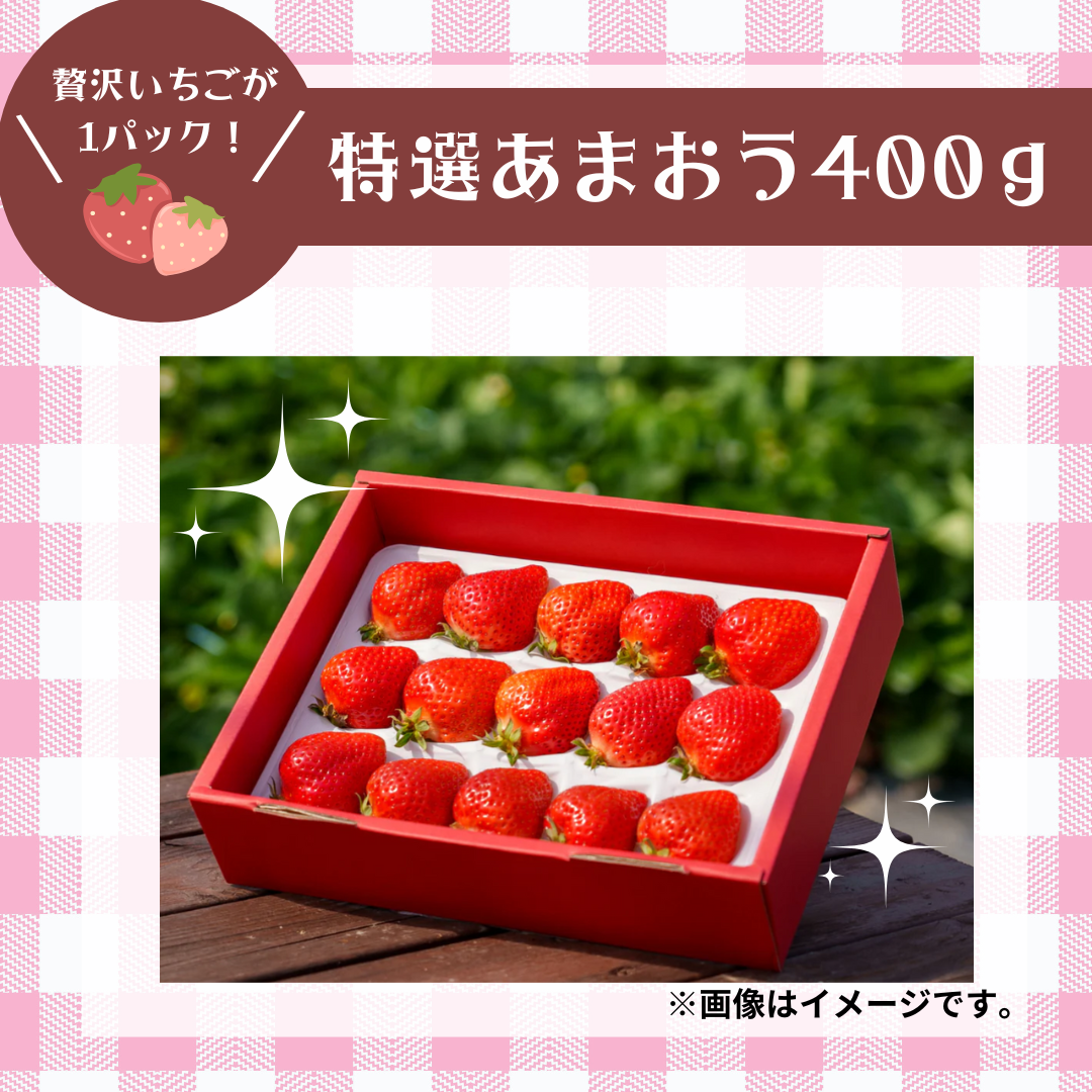 特選あまおういちご400g