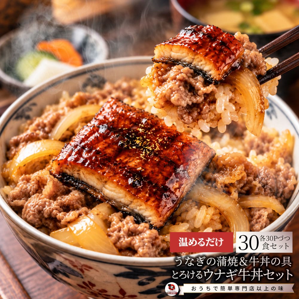 うなぎ牛丼 各30食セットセット うなぎ 牛丼 ウナギ 鰻 丼の具 蒲焼き 牛肉 スタミナ飯 ご飯のお供 おかず 惣菜 冷凍食品 簡単調理 ランチ 夜食 惣菜 冷凍ストック ご飯もの お取り寄せ