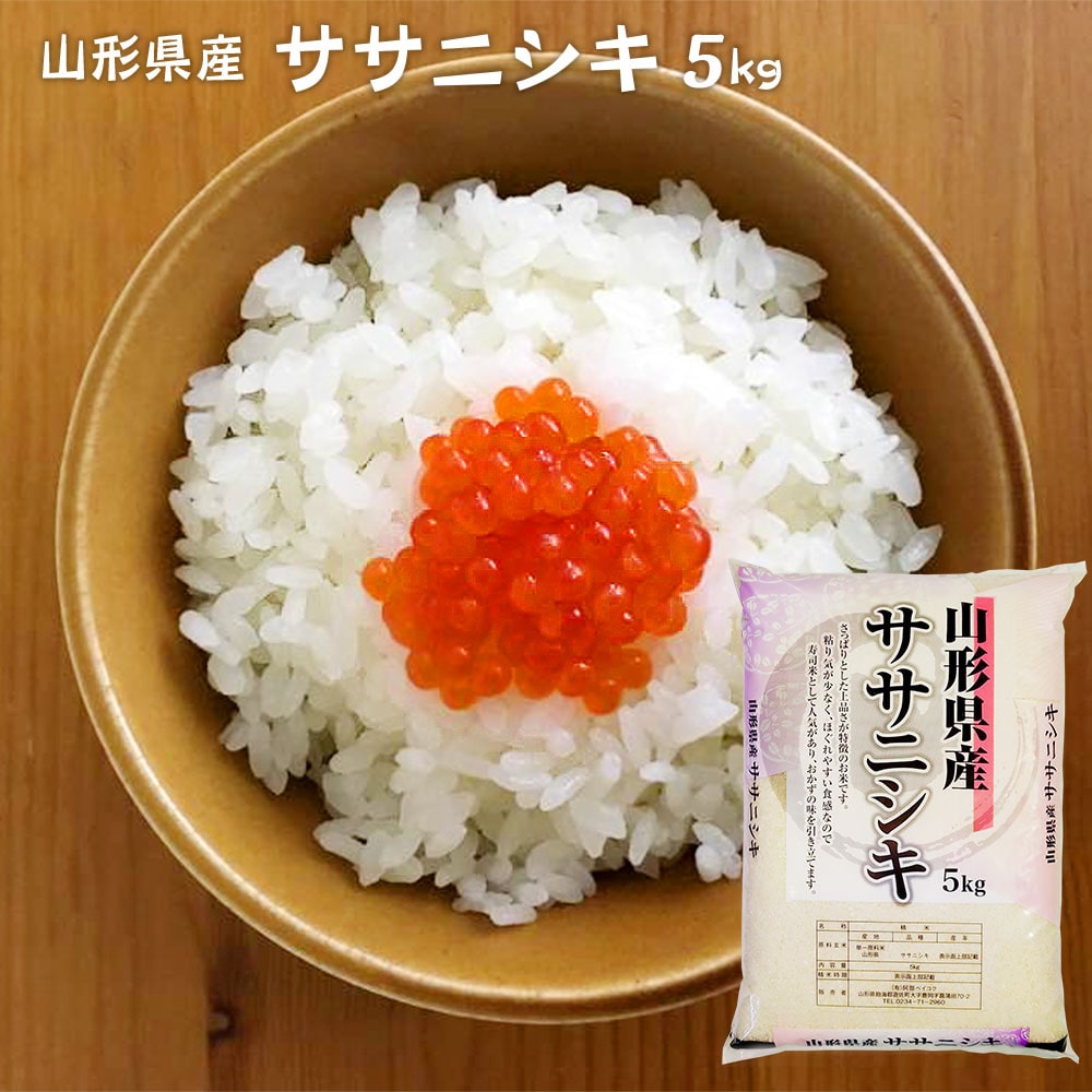 ササニシキ5kg普通精米