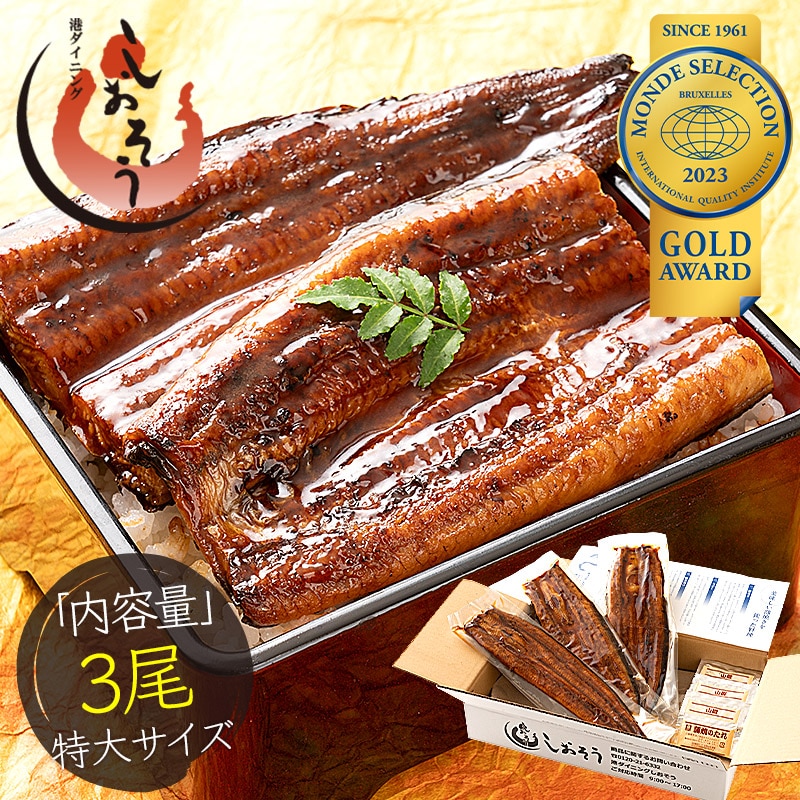 鰻 ウナギ うなぎ 蒲焼き 無頭 国産 特大サイズ 約200g×3尾 国産鰻 グルメ 国産ウナギ うなぎの蒲焼 蒲焼 鰻の蒲焼 美味しい うなぎ蒲焼 国産うなぎ 国産うなぎ蒲焼 ウナギ蒲焼き カット 贈り物 旬の味覚