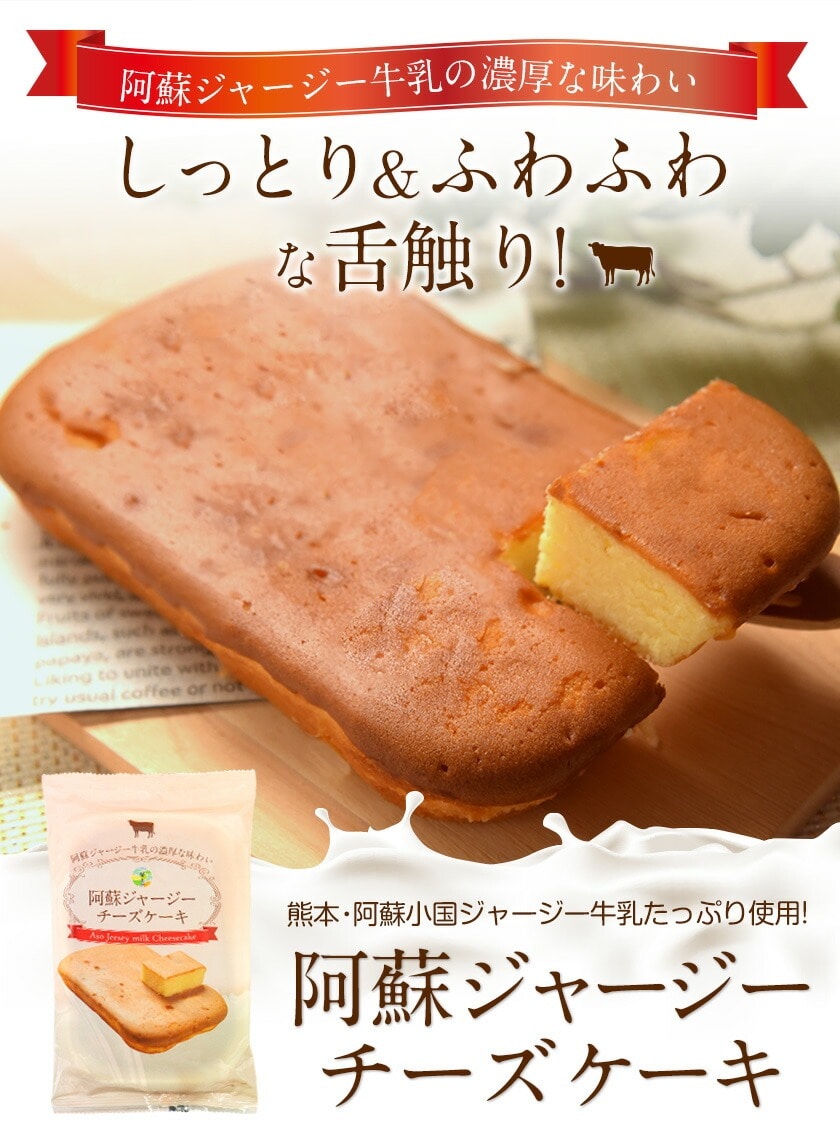 阿蘇 ジャージー チーズケーキ ケーキ 送料無料 希少 な ジャージー牛乳使用 スイーツ ポイント消化 買い回り 誕生日《1-5営業日以内に出荷予定(土日祝除く)》 _-rg_asojcake_s_23_1000_220g