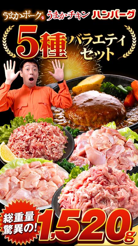 総重量1520g! お肉5種 バラエティセット 肉 豚肉 鶏肉 ハンバーグ 5種 大容量 福袋 切り落とし 豚ミンチ 国産 ミンチ 若鶏 モモ肉 むね肉 デミグラス 送料無料 (北海道沖縄離島は除く) 《1-5営業日以内に出荷(土日祝日除く)》 _-rg_fumavarietyv2_s_24_5858_5i_mi