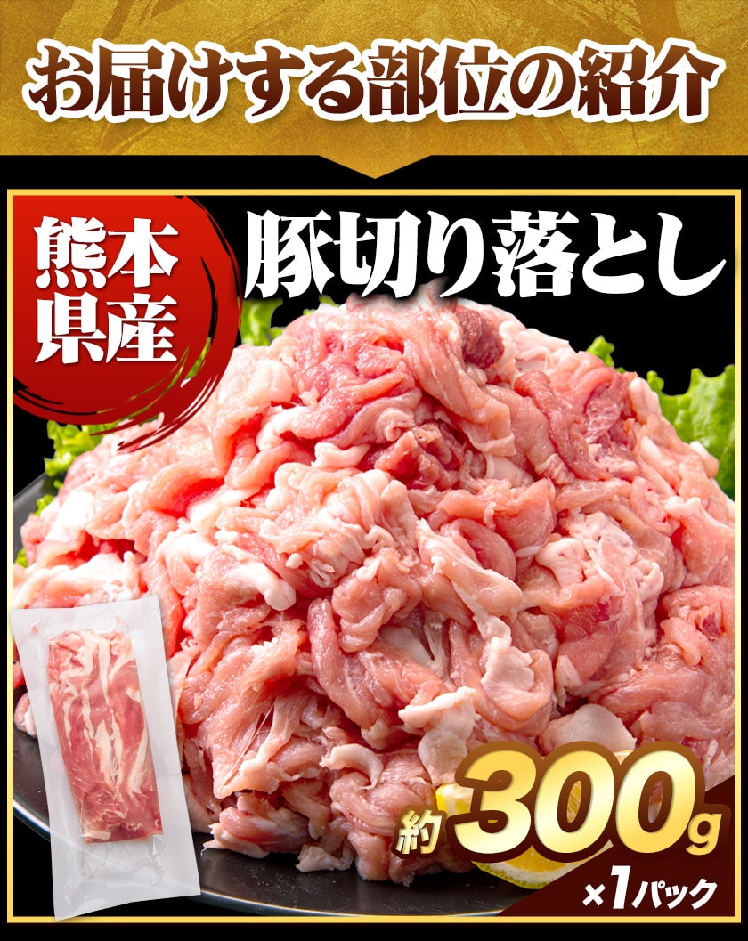 総重量1520g! お肉5種 バラエティセット 肉 豚肉 鶏肉 ハンバーグ 5種 大容量 福袋 切り落とし 豚ミンチ 国産 ミンチ 若鶏 モモ肉 むね肉 デミグラス 送料無料 (北海道沖縄離島は除く) 《1-5営業日以内に出荷(土日祝日除く)》 _-rg_fumavarietyv2_s_24_5858_5i_mi