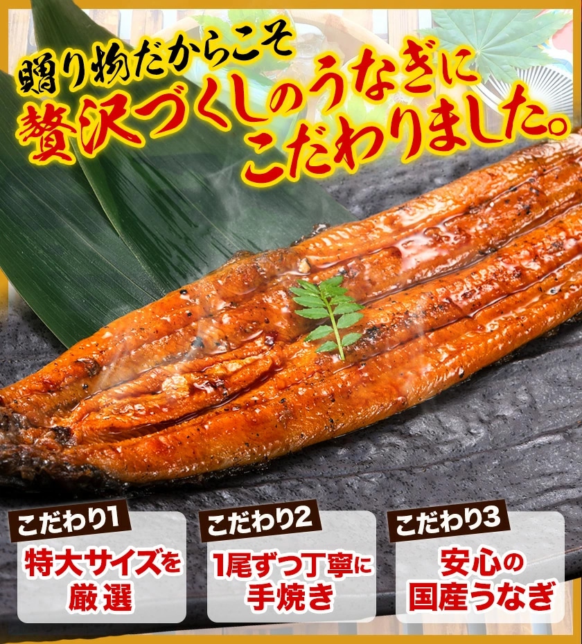 うなぎ 蒲焼き 国産 2尾 刻みうなぎ 計390g以上 特大サイズ 送料無料 九州産 鰻 たれ・山椒付き 刻み ギフト 冷凍 土用の丑の日 unagi 丑の日 父の日 ギフト 贈り物 《1-5営業日以内に発送予定(土日祝日除く)》 _-g_fginunagi_s_25_5555_390g
