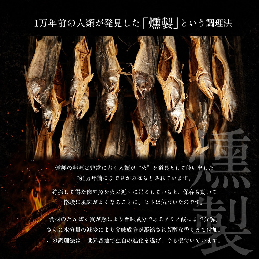 【賞味期限2026年9月30日】プレミアムあご入りだし だしパック 国産 だし 五縁 出汁パック 送料無料 144g(8g×18包) ダシ つゆ かつお節 だしの素 出汁 昆布 減塩だし あご出汁 パック 熊本 《1-5営業日以内に発送予定(土日祝除く)》 _-rg_premiumgoen_ss_26_3960_144g