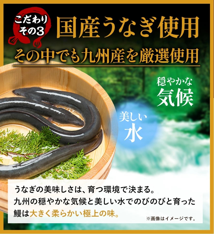 うなぎ 蒲焼き 国産 2尾 刻みうなぎ 計390g以上 特大サイズ 送料無料 九州産 鰻 たれ・山椒付き 刻み ギフト 冷凍 土用の丑の日 unagi 丑の日 父の日 ギフト 贈り物 《1-5営業日以内に発送予定(土日祝日除く)》 _-g_fginunagi_s_25_5555_390g