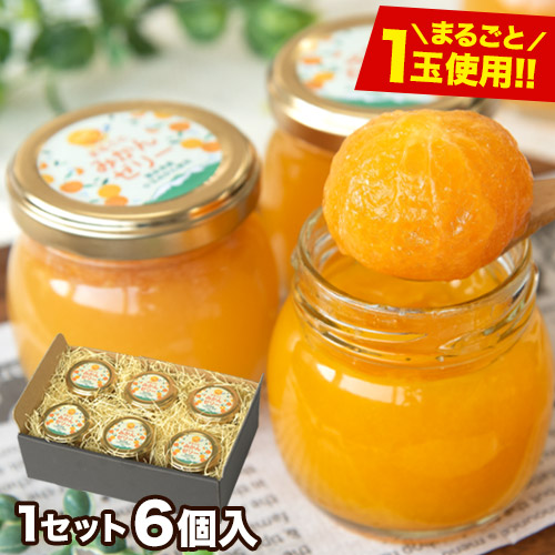 まるごと みかんゼリー フルーツギフト 熊本 小玉みかん 送料無料 ギフト ゼリー スイーツ 果物 セット 子ども に人気 熨斗 のし みかんギフト《3-7営業日以内に出荷予定(土日祝除く)》 _-rg_mikanjelly_u_22_3280_110gx6