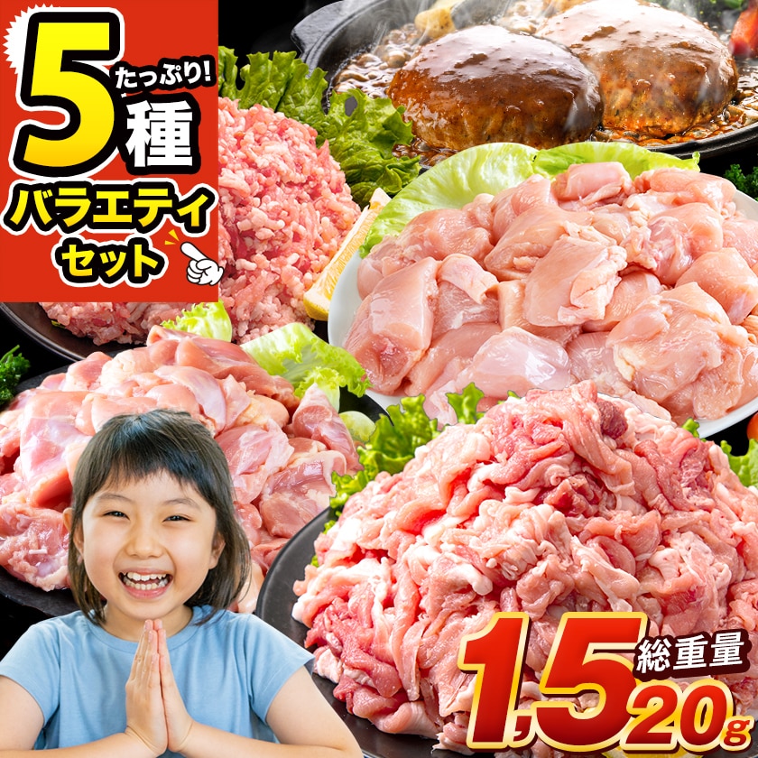 総重量1520g! お肉5種 バラエティセット 肉 豚肉 鶏肉 ハンバーグ 5種 大容量 福袋 切り落とし 豚ミンチ 国産 ミンチ 若鶏 モモ肉 むね肉 デミグラス 送料無料 (北海道沖縄離島は除く) 《1-5営業日以内に出荷(土日祝日除く)》 _-rg_fumavarietyv2_s_24_5858_5i_mi