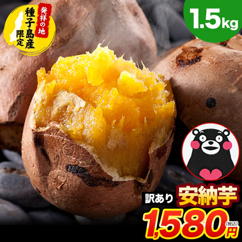 さつまいも 安納芋 種子島産 訳あり 1.5kg 送料無料【最大3kgおまけ増量】長期熟成 蜜芋 さつま芋 スイーツ サツマイモ (大中小不揃い) 《11月中旬-12月上旬に出荷予定（土日祝日除く）》 _-rg_wannou_g11_25_1580_1500g