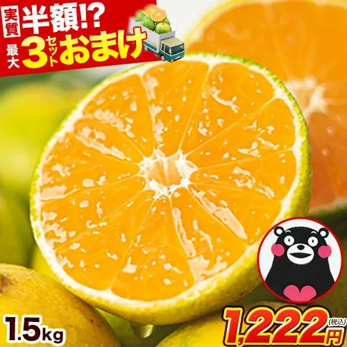 みかん 熊本 訳あり 送料無料 柑橘 ミカン 大玉 小玉 不選別 果物 九州 訳アリ 蜜柑 箱 1.5kg 3kg 5.5kg 10kg 10キロ 以下 みかん箱 《3-7営業日以内発送予定》_-rg_ kwmikan_u_25_1222_1500g