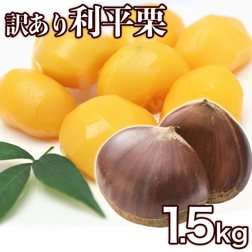 熊本県産 訳あり 利平栗 1.5kg 送料無料 【希少品種】栗 2L～Lサイズ 生栗 モンブラン 幻の栗 くり 皮むき 栗ご飯 渋皮煮 高級 和栗 国産 秋の味覚 お取り寄せ むきやすい 熊本 《9月下旬-10月上旬に出荷予定》_-rg_criheiguri_l9_26_3780_1500g