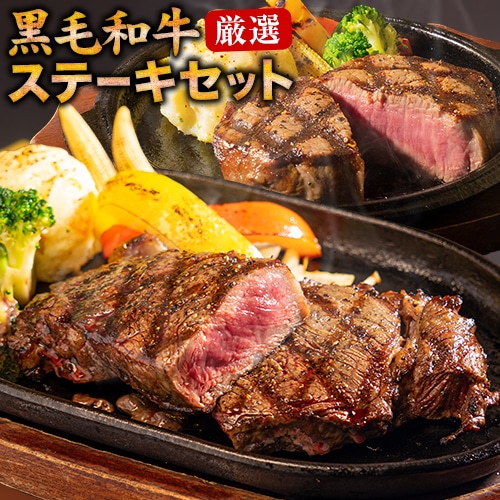 黒毛和牛 サーロイン ヒレ ステーキ 2枚 450g 送料無料 九州産 サーロインステーキ 300g ヒレステーキ 150g ステーキ肉 国産 訳あり ヒレ肉 和牛 ステーキセット セール 見切り品 《7-14営業日以内に出荷予定(土日祝除く)》 _-rg_fkurosteakv2_wx_6999_2i