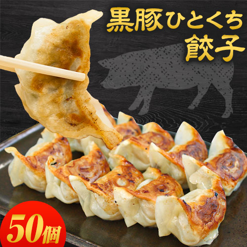 餃子 冷凍 送料無料 一口餃子 黒豚ひとくち餃子 50個入り(25個×2パック) 惣菜 惣菜セット冷凍餃子 セット ぎょうざ 九州産 黒豚使用 晩酌 お取り寄せグルメ《7-14営業以内発送予定(土日祝除)》 _-rgk_fkrbtgyoza_u_22_2380_25p
