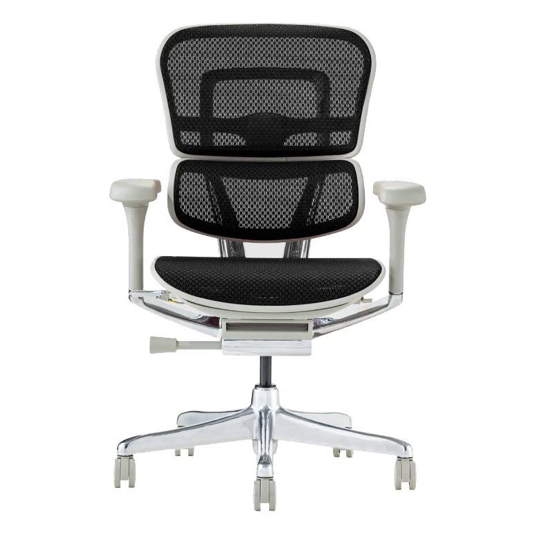 関家具 オフィスチェア ロータイプ 高機能 Ergohuman PRO2 EHP2-LAM-GF-BK グレーフレーム×ブラック