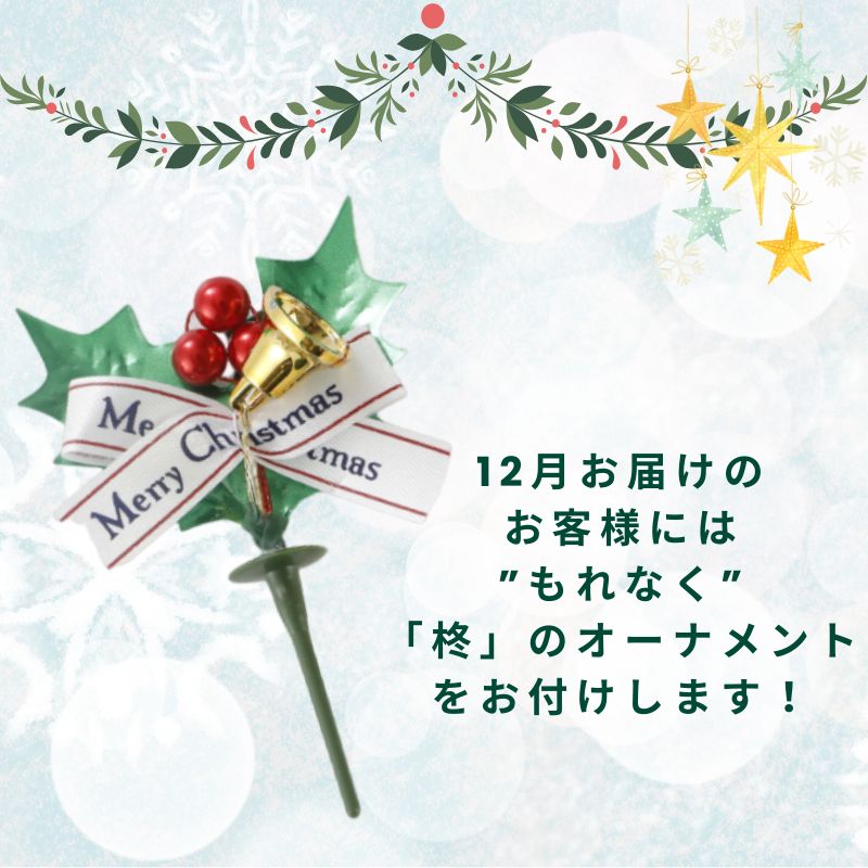 不二家 公式 送料無料 クリスマス 69% 糖質オフチョコ生ケーキ 5号 14.5cm 誕生日 お祝い 記念日 冷凍 ケーキ 糖質制限 チョコレートケーキ チョコケーキ ハイカカオ チョコ 低糖質 低糖質ケーキ