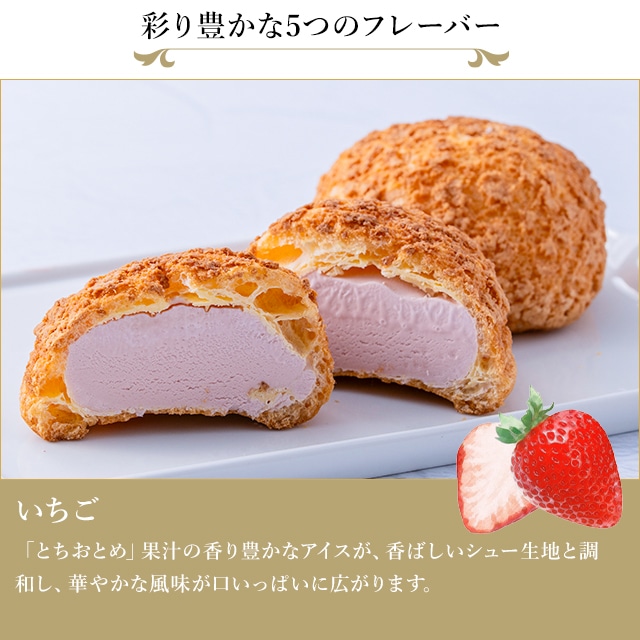 お歳暮 クリスマス 2025 アイス アイスクリーム お菓子 スイーツ 贈り物 ギフト 千疋屋 パティスリー銀座千疋屋 銀座プレミアムシューアイス