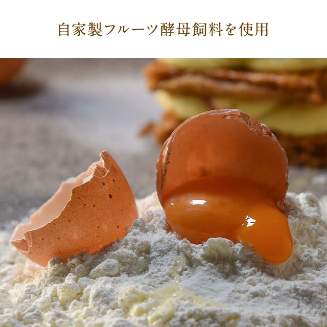 ホワイトデー 2026 焼き菓子 クッキー 詰合せ お菓子 スイーツ 贈り物 ギフト 千疋屋 パティスリー銀座千疋屋 銀座プレミアムボヌールクッキー