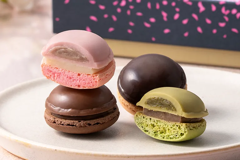 マカロンショコラ