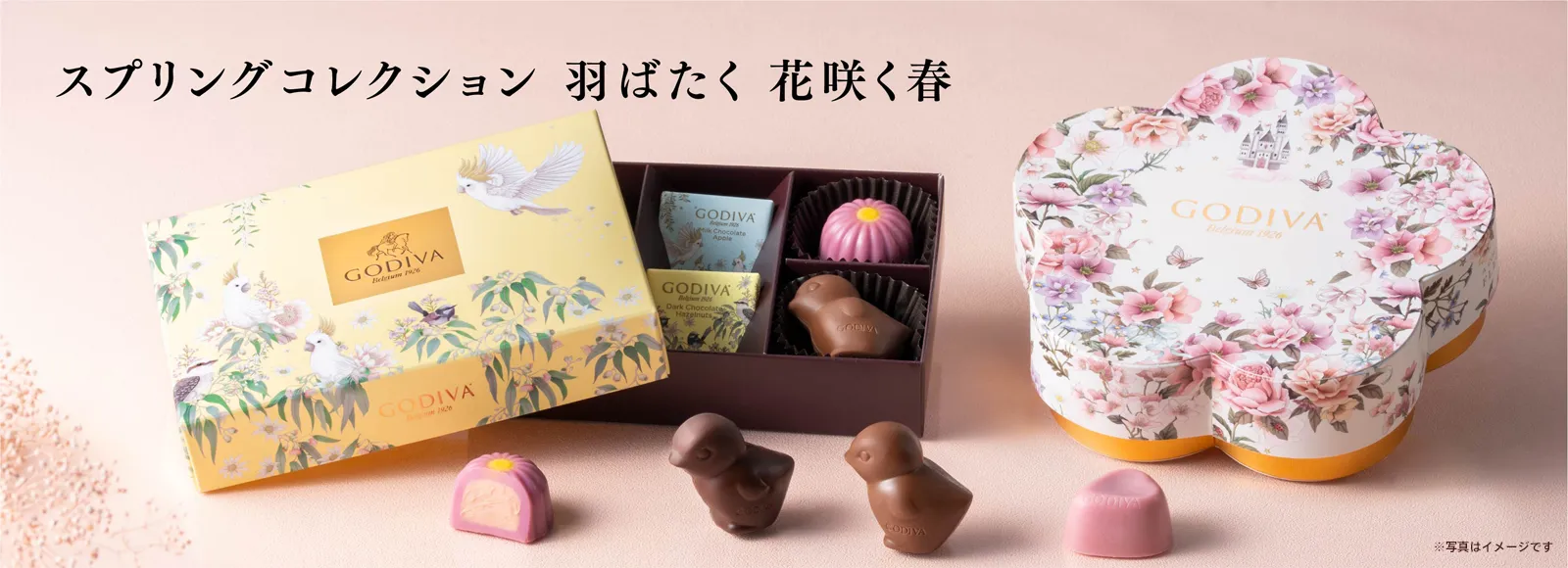 スプリング コレクション