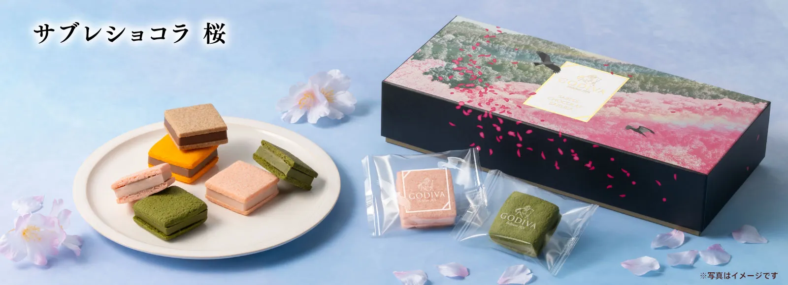 サブレショコラ