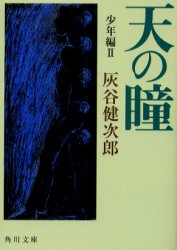 天の瞳　少年編２