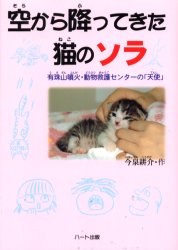 空から降ってきた猫のソラ　有珠山噴火・動物救護センターの「天使」