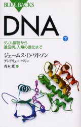 ＤＮＡ　下