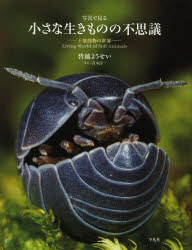 写真で見る小さな生きものの不思議　土壌動物の世界