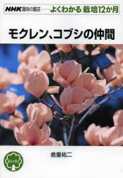 モクレン、コブシの仲間