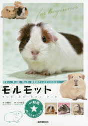 モルモット　住まい、食べ物、接し方、病気のことがすぐわかる！