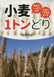 小麦１トンどり　薄まき・しっかり出芽太茎でくず麦をなくす