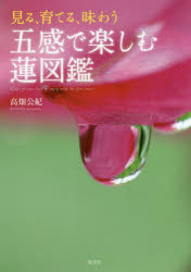 見る、育てる、味わう五感で楽しむ蓮図鑑