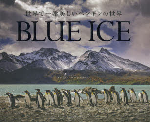 世界で一番美しいペンギンの世界