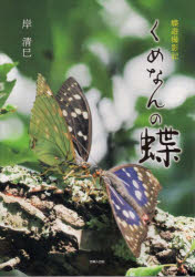 くめなんの蝶　蝶遊撮影記