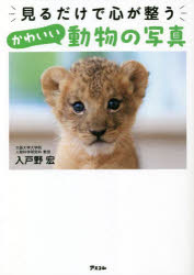 見るだけで心が整うかわいい動物の写真