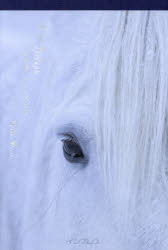 エピタフ　幻の島、ユルリの光跡