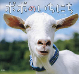 ポポのいちにち